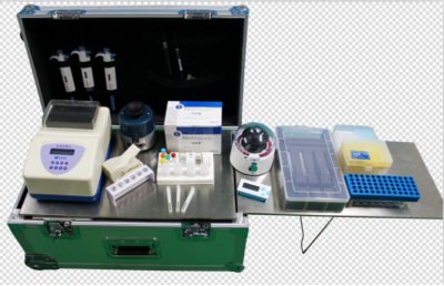 喜報 | 上海快靈推出多重專利基因試紙卡，引領(lǐng)精準(zhǔn)檢測新篇章